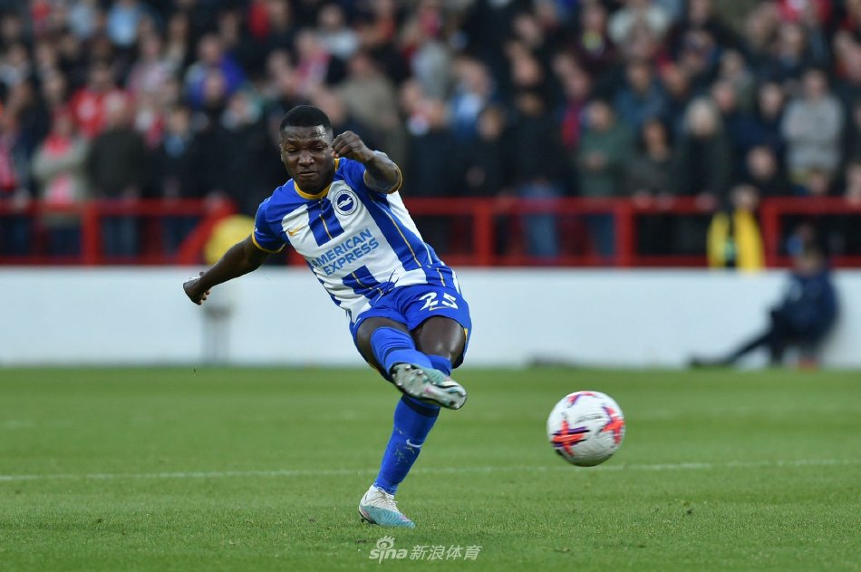 意大利足协 意大利足协